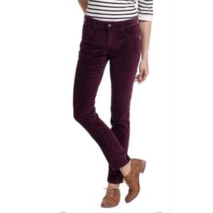 PILCRO AND THE LETTERPRESS "Velvet Serif Pants"